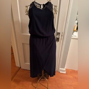 The Limited Asymmetrical Navy Dress